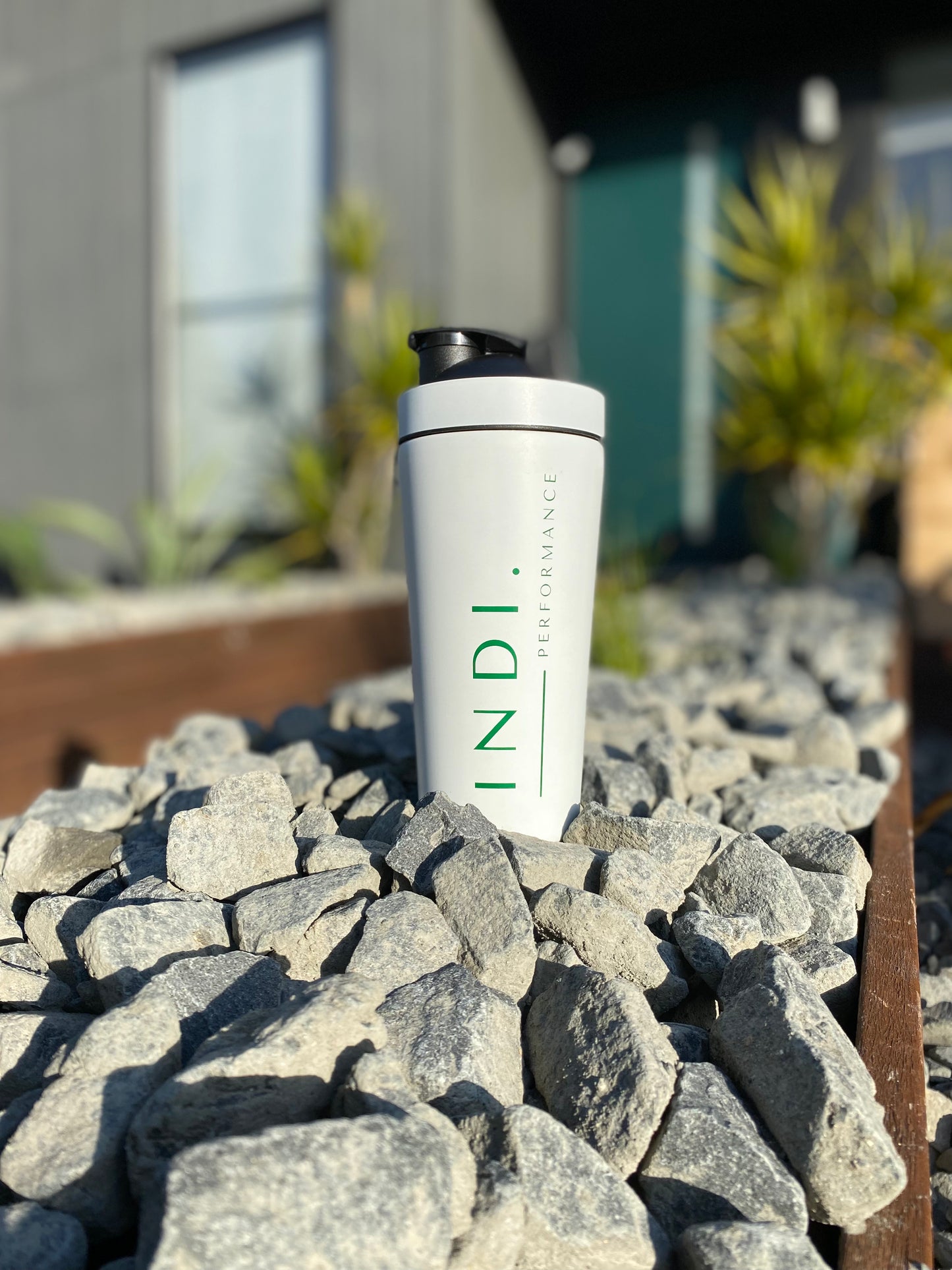 Stainless Steel INDI Protein Shaker For Clients