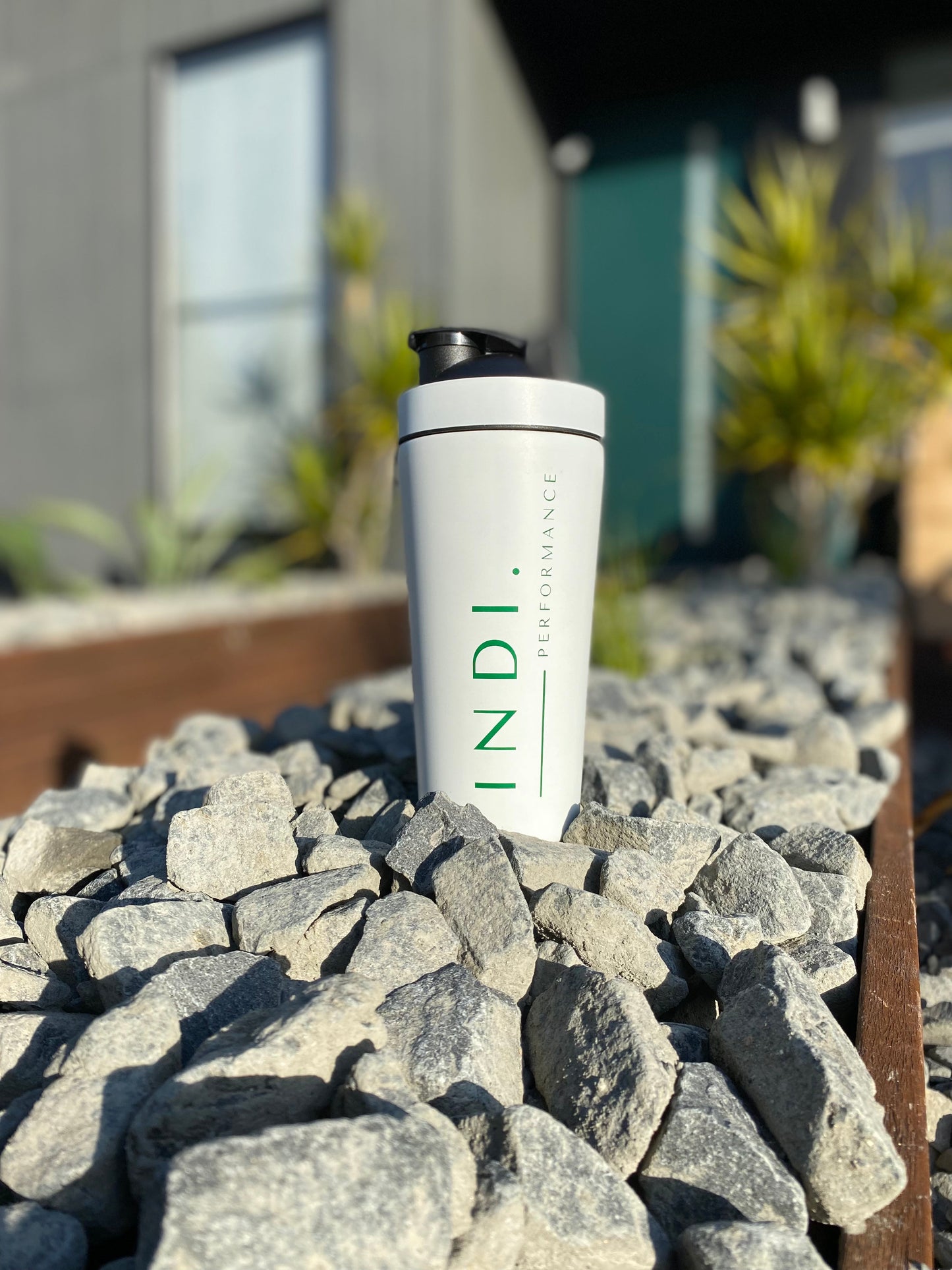 Stainless Steel INDI Protein Shaker